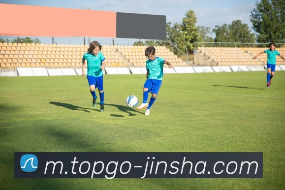 金沙娱乐发展历程